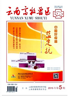 云溪市畜牧獸醫職稱條件要滿足哪些