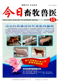 今日畜牧獸醫(yī)論文刊發(fā)參考
