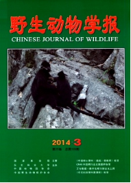 野生動物學報征稿時間