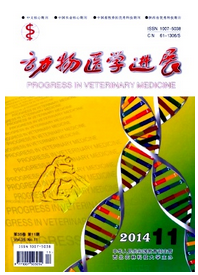 動物醫學進展論文發表格式