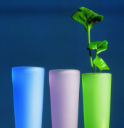 探究當(dāng)前傳統(tǒng)文化改革發(fā)展的新方式