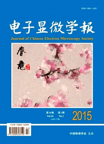 電子顯微學報征稿地址