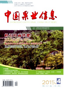 中國果業信息