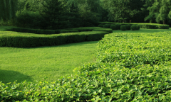 園林生態建設管理的新應用技巧有哪些