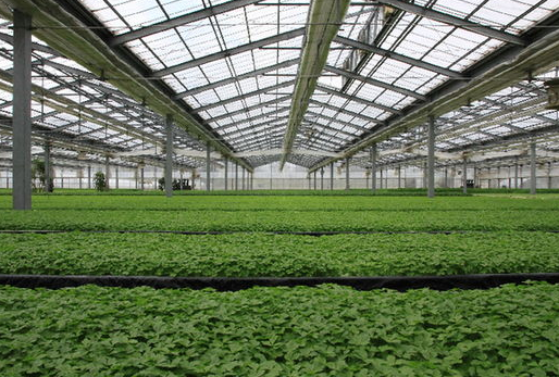 農業科技現代化的新發展技巧及意義