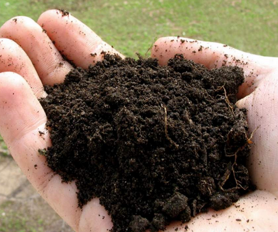 為何要加強對肥料的科學應用措施呢