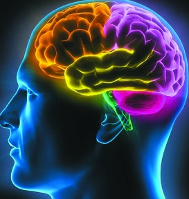 論神經(jīng)干細(xì)胞的護(hù)理及管理新制度措施