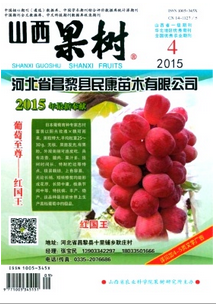 山西果樹雜志征稿