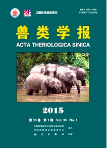 獸類學報