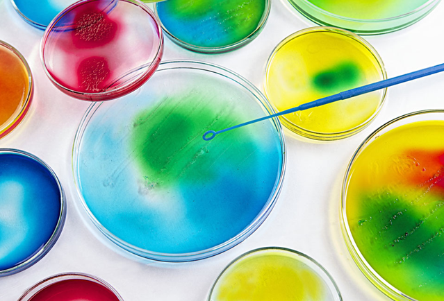 生物實驗教學(xué)改革的重要意義作用