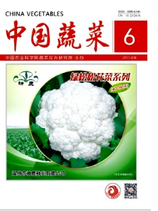 蔬菜栽培新技巧應用管理