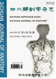 四川解剖學雜志