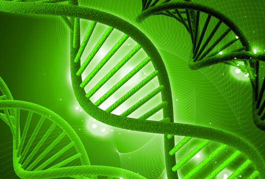 論現(xiàn)在生物教學(xué)建設(shè)的新科技發(fā)展