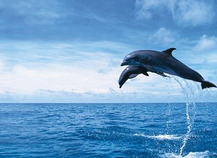 人力資源建設管理新發展趨勢