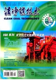 潔凈煤技術