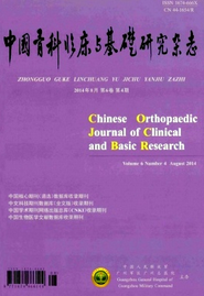 中國骨科臨床與基礎研究雜志