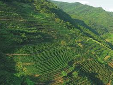 山河治理中的新發展技巧及模式