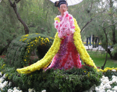 園藝技師論文簡(jiǎn)析菊花栽培中的園藝建設(shè)管理新方案