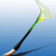 探究當(dāng)前漢語(yǔ)色彩的新發(fā)展建設(shè)措施