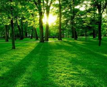 探析林業(yè)新發(fā)展管理建設(shè)應(yīng)用模式及意義