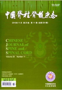 中國脊柱脊髓雜志