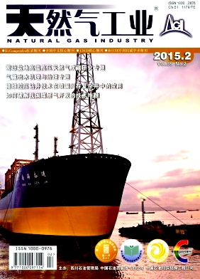 天然氣工業