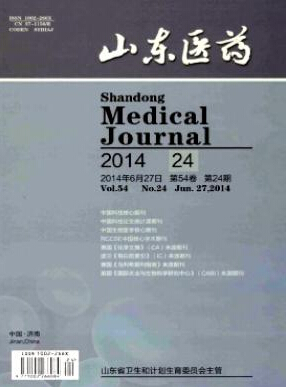 2016年醫學論文編寫技巧