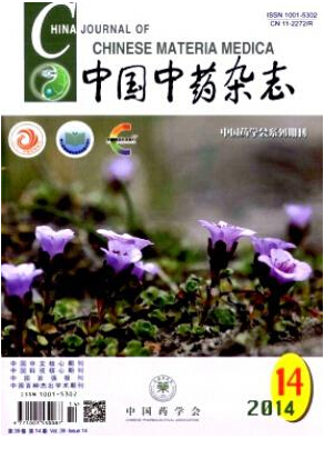 核心期刊怎么投稿