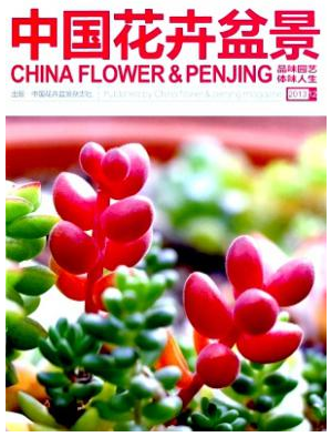 中國花卉盆景