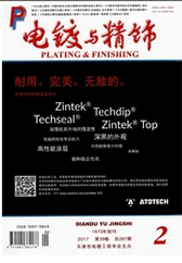 電鍍與精飾