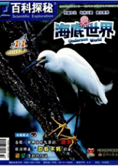 百科探秘：海底世界