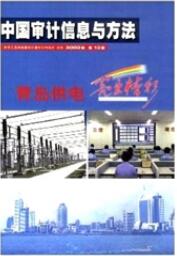中國審計信息與方法