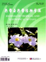 林業工程師論文