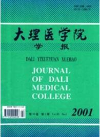 大理學院學報：醫學版