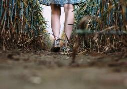 專業職稱什么意思