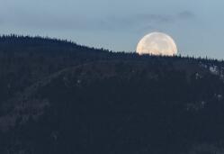 環境藝術專業文獻