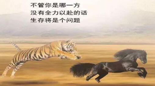 論文質(zhì)量檢測