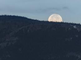 通訊作者評職稱