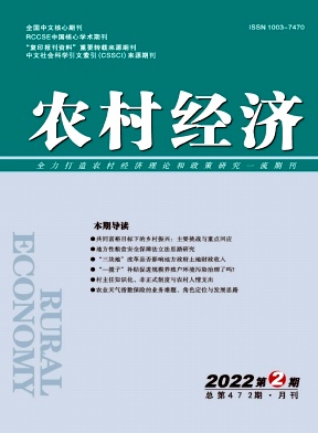 農(nóng)村經(jīng)濟(jì)