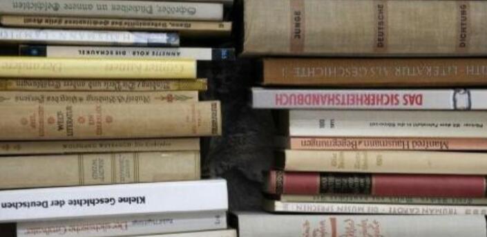 期刊加急操作步驟