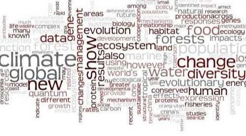 寫論文可以在哪里查資料