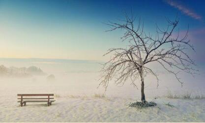 英文期刊拒稿原因
