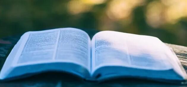 獨著選國際出版社還是國內出版社