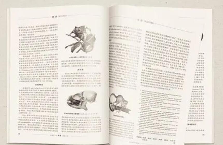 水工環(huán)專業(yè)參評(píng)申報(bào)副高級(jí)職稱用什么論文