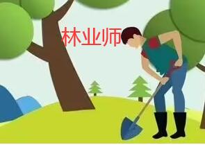 林業技師想出書怎么弄