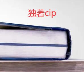 獨著cip有差異嗎