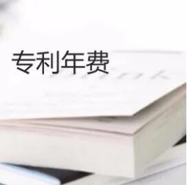 專利不繳納年費的后果