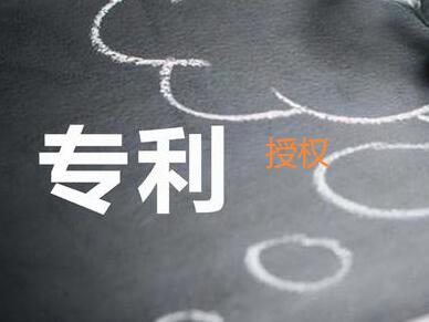 專利授權