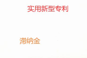 實用新型專利滯納金