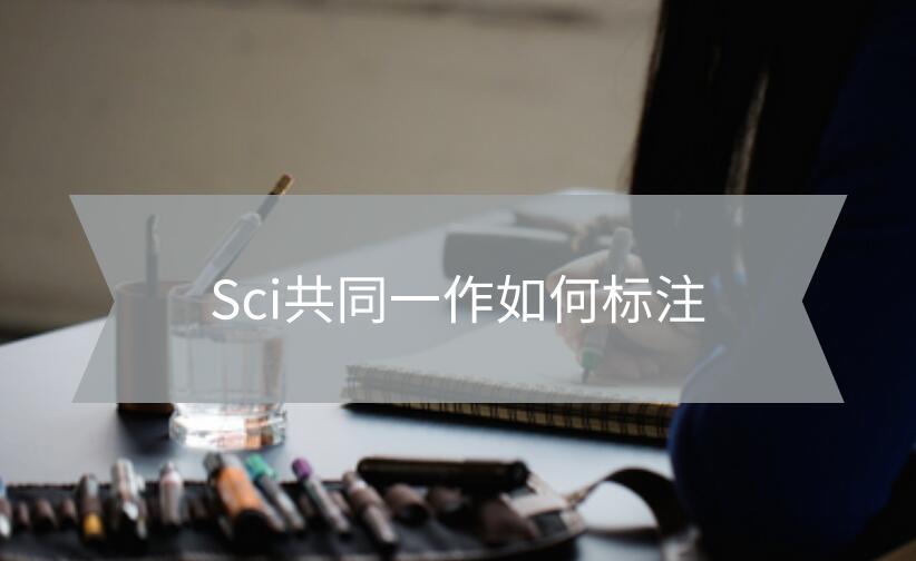 sci共同一作
